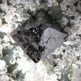 Magnetite
La Gallega Mine, Ojén, Málaga, Andalusia, Spain
fov 1.8 mm
mined in 2013 (Author: Rewitzer Christian)