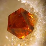 Jarosite
María Josefa Mine, Rodalquilar, Níjar, Almería, Andalusia, Spain
fov 1 mm
mined in 2012 (Author: Rewitzer Christian)