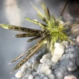 Jamborite/Millerite
La Gallega Mine, Ojén, Málaga, Andalusia, Spain
fov 1.4 mm
mined in 2013 (Author: Rewitzer Christian)