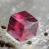 Spherocobaltite
Bou Azzer, Tazenakht, Ouarzazate, Souss-Massa-Draâ, Morocco
fov 1.2 mm (Author: Rewitzer Christian)