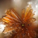 Ruizite
Cornwall Mines, Cornwall Borough, Lebanon Co., Pennsylvania, USA
fov 1 mm (Author: Rewitzer Christian)