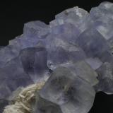 Fluorite, Barite
Jaimina mine,  Carrales, Caravia District, Asturias, Spain
Largest crystal is 4 x 4 cm
Same specimen, new photo - still trying to show the unusual phantoms that form a cross in the center of each crystal (Author: James)