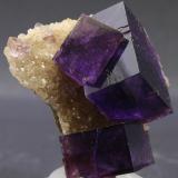 Fluorite, Quartz
Berbes, Berbes Mining area, Ribadesella, Asturias, Spain
3.5 x 3.5 cm (Author: James)