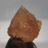 Fluorite
Aiguille du Moine, Mont-Blanc massif, France
10mm across
Same specimen (Author: Mike Wood)