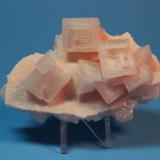 Halite
Searles Lake, Trona, California, USA
8.7 x 5.5 cm (Author: Don Lum)