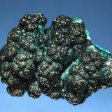 Heterogenite
Star of Congo Mine, Lubumbashi, Katanga Prov., DR Congo
4.0 x 5.5 cm
Dark blue-green botryoidal crusts of heterogenite on chrysocolla.  Acquired from Gilbert Gauthier in 2001. (Author: crosstimber)