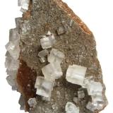 Halite
Neuhof-Ellers Potash Works, Neuhof, Fulda, Hesse, Germany
11 x 8 cm
Collection &amp; Photo: Tobias Martin (Author: Tobi)