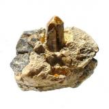 Talc ps. after quartz
Johanneszeche mine, Göpfersgrün, Fichtelgebirge, Bavaria, Germany
3,6 x 2,8 cm (Author: Andreas Gerstenberg)
