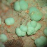 Chrysocolla
Helgoland Island (North Sea), Schleswig-Holstein, Germany
fov 6 mm
Collection and photo: Andreas Gerstenberg (Author: Tobi)