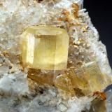 Topaz on Quartz
Schneckenstein, Vogtland, Saxony, Germany
crystal is 1.5 cm tall. (Author: Jesse Fisher)
