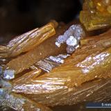 Pyromorphite
Bad Ems - Rhineland - Palatinate, Germany. (Author: Roger Warin)