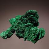 Malachite ps. after barite
Mashamba West Mine, Kolwezi, Katanga Prov., DR Congo
5.0 x 5.3 cm
Velvety malachite replacing crystals of bladed barite. (Author: crosstimber)