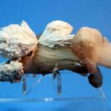 Scolectite, Stilbite
Kannad, Aurangabad, India
10 x 4 cm (Author: Don Lum)