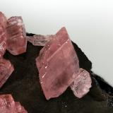 Rhodochrosite
Uchucchaqua mine. Lima. Peru
FOV 10,58mm
1,9x. Focus rail MacroRail. Canon EOS 600D. Ikea lights
Photo: Oscar Fernández Arcís, Mineral: Manuel de Torres (Author: ofarcis)