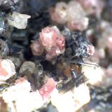 Nepheline, leucite, pyroxene group
Ringseitert, Kirchweiler, Daun, Eifel, Rhineland-Palatinate, Germany
50X
A pink hexagonal prism of nepheline (center), a colourless leucite trapezohedron (top left) and dark olive translucent tabular pyroxene crystals (possibly enstatite).  The specimen contains also apatite needles (not visible here). (Author: prcantos)