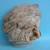 Baritina<br />Calicata La Atalaya, Pastrana, Mazarrón / Águilas, Comarca Alto Guadalentín, Región de Murcia (Murcia), España<br />9 x 8 cm<br /> (Autor: Pedro Conesa)