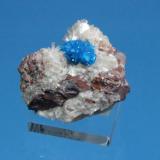 Cavansite
Wagholi, near Poona, Maharashtra State, India
4.5 x 3.3 cm (Author: Don Lum)