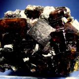 Fluorita.
Frohnau, Annaberg, Dist. Erzgebirge, Sajonia, Alemania.
70x50 mm. (Autor: Jesus Franquesa Baucells)