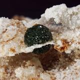 Variscite &amp; Quartz
Itumbiara, Río Paranaiba, Goias, Brazil.
FOV 23.08mm
0.79x. Focus rail MacroRail. Canon EOS 600D. Ikea lights 
Photo: Oscar Fernández Arcís, Mineral: Manuel de Torres (Author: ofarcis)