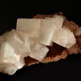 Halite
Wintershall Potash Works, Heringen, Werra Valley, Hesse, Germany,
10.0 x 15.6  cm
Colorless halite cubes to 3.1 cm on edge scattered over a pink halite matrix. Collected in 1966. (Author: crosstimber)