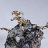 Plata
Mina Uchucchacua. Oyon. Lima. Perú.
Encuadre de 31,03mm
0,79x. Carril de enfoque MacroRail. Canon EOS 600D. Luces de Ikea 
Foto: Oscar Fernández Arcís, Mineral: Manuel de Torres (Autor: Oscar Fernandez)