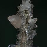 Calcite, Quartz
Roncari Quarry, East Granby, Hartford Co., Connecticut, USA
8.2 x 5.0 cm (Author: am mizunaka)