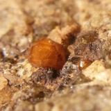 Granate
Minas de Can Montsant. Hortsavinyà. Tordera. Maresme. Barcelona. Cataluña. España.
El cristal hace 2 x 2 mm
misma pieza otra vista (Autor: Javier Rodriguez)