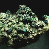 Brochantita y Linarita.
El Salado, Cerro Negro Dist. Chanacal, Reg. Atacama, Chile.
55x40 mm. (Autor: Jesus Franquesa Baucells)