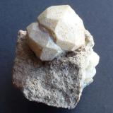 Leucita
Roccamonfina, Complejo Volcanico Roccamonfina, Caserta, Campania, Italia
4 x 4 cm. (Autor: javier ruiz martin)