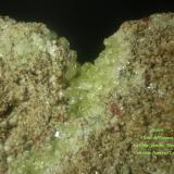 Fluorapatito
Mina Nuestra Señora del Carmen, La Celia, Jumilla, Murcia, España
Campo de visión 2’7 x 3’1 cm.; cristales entre 1 y 2 mm (Autor: juanjodpc)