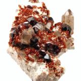 Spessartine, smoky quartz
Wushan Spessartine Mine, Tongbei, Yunxiao Co., Zhangzhou Prefecture, Fujian Province, China
Specimen size 8 cm

Spessartine (two generations?), smoky quartz (Author: Tobi)