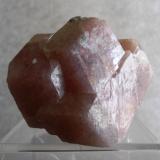 Grossular (var. Rosolite) light-pink
Sierra de Cruces (near Hércules), Mun. de Sierra Mojada, Coahuila, México
68x60x65mm (Author: Carlos M.)