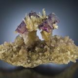 Fluorite
Minerva No. 1 Mine, Ozark-Mahoning Group, Cave-in-Rock Sub-District, Illinois - Kentucky Fluorspar District, Hardin Co., Illinois, USA
About 10cm long
Fluorite Toadstools
Jeff Scovil photo (Author: laayla21506)