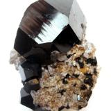 Schorl
Erongo Mountain, Erongo Region, Namibia
Specimen size 6 cm, main crystal 4 cm (Author: Tobi)