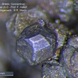Bornite
Bristol, Connecticut USA
fine crystal (Author: Roger Warin)