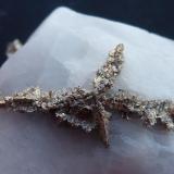 Plata Nativa en Calcita
Mina Bouismas, Bou Azer, Tazenakht, Ourzazate, Marruecos
5 x 4,5 cm.

Detalle (Autor: javier ruiz martin)