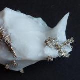 Plata Nativa en Calcita
Mina Bouismas, Bou Azer, Tazenakht, Ourzazate, Marruecos
5 x 4,5 cm. (Autor: javier ruiz martin)