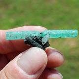 Beryl (variety emerald)
N.A.E.M., Hiddenite, North Carolina, USA
4.5 cm (Author: Mark Randle)