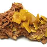 Wulfenite
Touissit, Touissit District, Oujda-Angad Province, Oriental Region, Morocco
Specimen size 7 cm, largest crystal 13 mm (Author: Tobi)