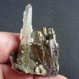 Arsenopirita, Cuarzo, Moscovita y Calcita
Minas da Panasqueira, Aldeia de São Francisco de Assis, Covilhã, Castelo Branco, Cova da Beira, Centro, Portugal 
5 x 4 cm. (Autor: javier ruiz martin)