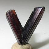 Rutilo
Diamantina, Minas Gerais, Brasil
10 x 11 nn. (cristales de 11 y 13 mm. de longitud)
Un rutilo con macla en V, es decir, según {301}.  Ver http://www.foro-minerales.com/forum/viewtopic.php?p=90551#90551 . (Autor: prcantos)