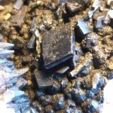 Calcita
Mina del Galapagar, Carretera de Torrequebradilla, Puente Tablas, Jaén, Andalucía, España
7 x 7,5 x 5 cm.
Detalle de los cristales de calcita (Autor: Felipe Abolafia)