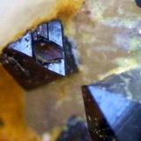 Anatasa y brookita
Sierrilla de Aguas Vivas, Cáceres capital, Extremadura, España
1 mm aprox. el cristal de anatasa (Autor: Cristalino)