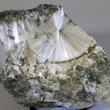 Escolecita
Estopiñán del Castillo, Huesca, Aragón, España
9 x 8 x 3 cm (Autor: Joan Niella)