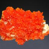 Orpiment
El&rsquo;brusskiy Mine, Elbrus Mt, Kabardino-Balkarian Republic, Northern Caucasus Region, Russia
4.2 x 5.8 cm
Bright orange orpiment crystals with small colorless barite crystals. (Author: crosstimber)