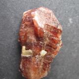 Zircón
Chilas, Diamar District, Gilgit-Baltistan, Pakistán
3’5 x 1’5 x 1 cm.
Otro perfil del mismo cristal. (Autor: prcantos)