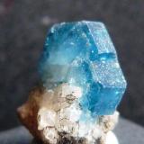 Fluorapatito
Minas Geraes, Brasil
1,5 x 1 x 1 cm.
Apatito azul. Parece una joya azul. (Autor: Felipe Abolafia)