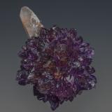 Quartz (var amethyst)
Karur District, Tamil Nadu, India
4.6 x 3.8 cm (Author: am mizunaka)