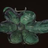 Beryl (var emerald)
Mun. de Muzo, Boyacá Department, Colombia
19.3 mm x 10.8 mm x 5.4 mm (Author: am mizunaka)