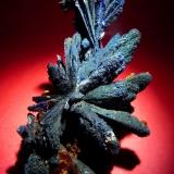 Azurita.
Tsumeb, Namibia.
90x50 mm. (Autor: Jesus Franquesa Baucells)